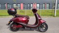 Pusa_5000 bordowa.jpg