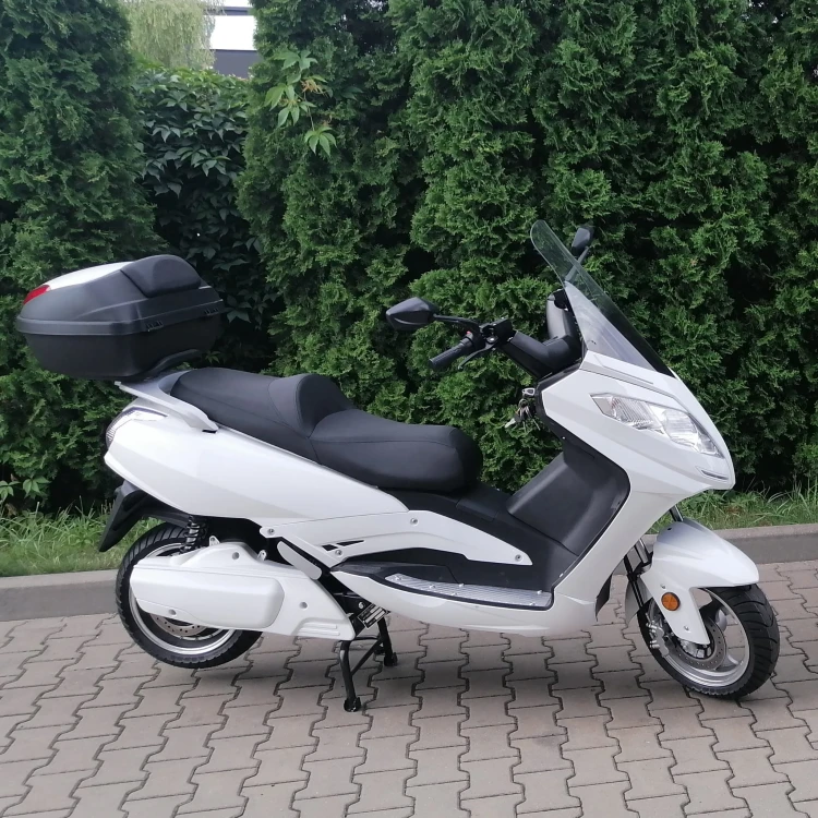 EFUN PUMA-X_01b.jpg