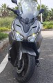 Efun_Lion_03.jpg