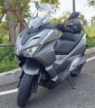 Efun_Lion_04.jpg