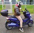 EFUN Tiger blue_00.jpg