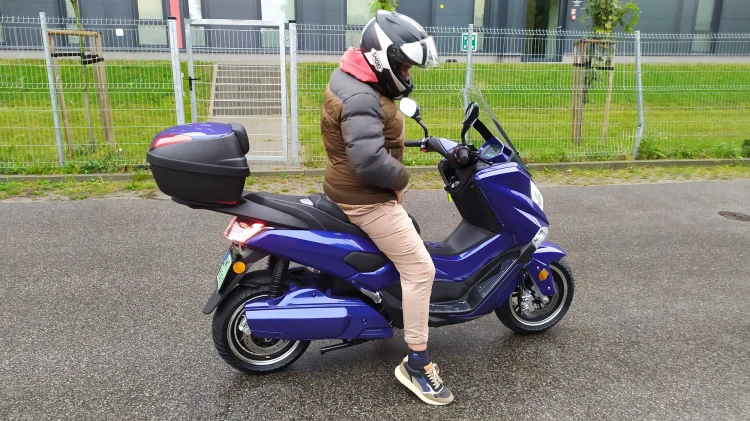 EFUN Tiger blue.jpg